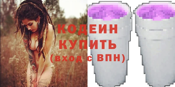 дурь Осташков