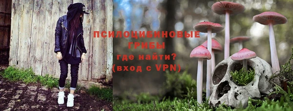 герыч Осинники