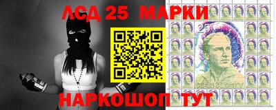 гашик Аргун