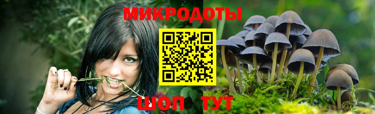 Асино  Галлюциногенные грибы Cubensis  Псилоцибиновые грибы прущие грибы  Вход с VPN 