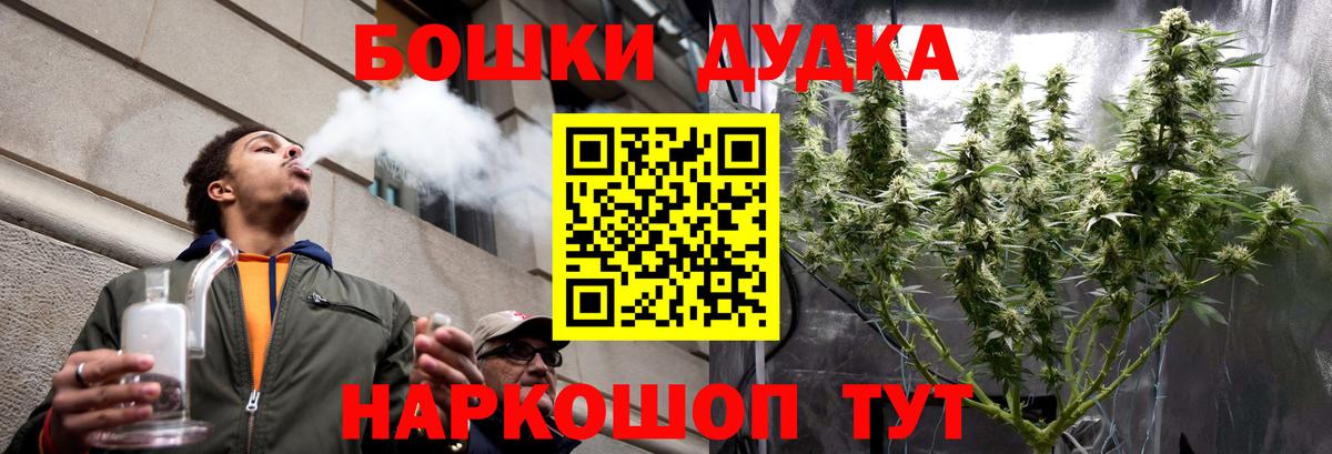 Канабис сатива  Каннабис планчик  Вход с VPN  Асино  Бошки марихуана индика 