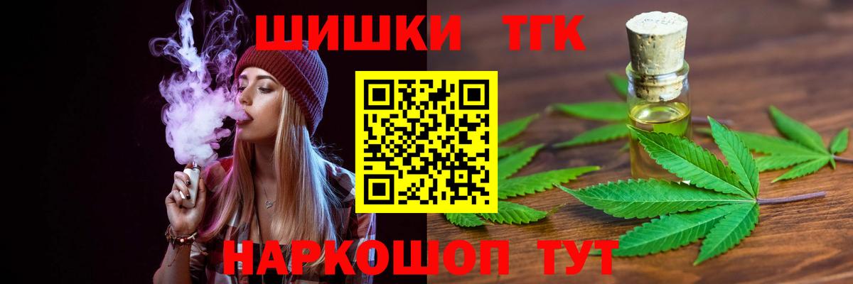МЕФ Асино